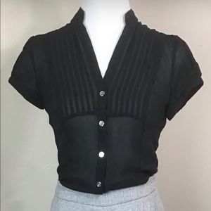 GONE  Express Sheer, Silk Black Pleated Blouse